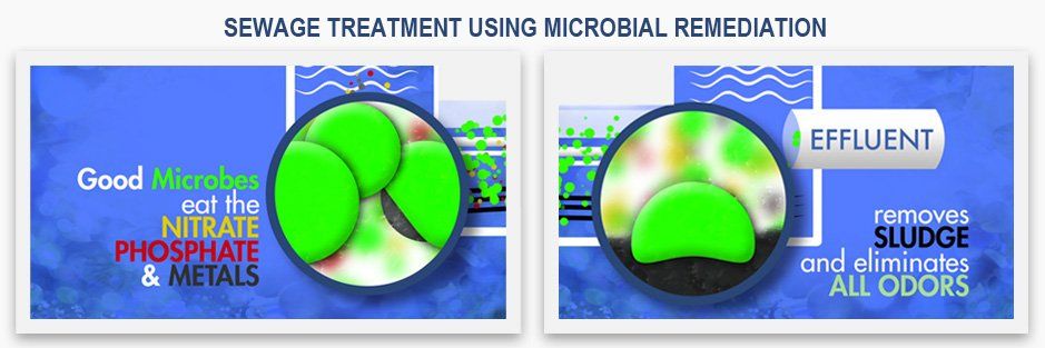 Sewage Treatment — Monterey Park, CA — Biocleaner Inc.